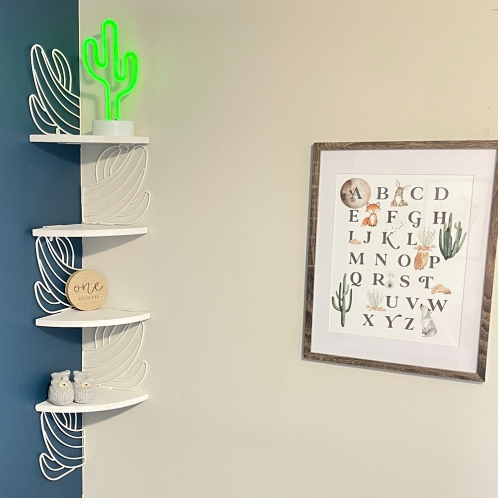 Cactus corner shelf